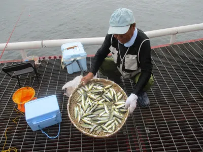 尼崎市立魚つり公園の2022年9月9日(金)1枚目の写真