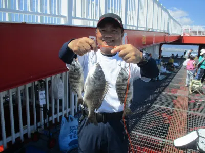 尼崎市立魚つり公園の2022年9月11日(日)2枚目の写真