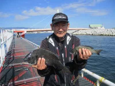 尼崎市立魚つり公園の2022年10月13日(木)1枚目の写真