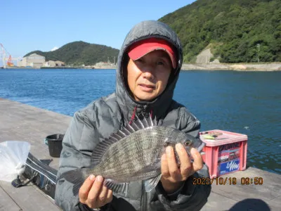 由良海つり公園&釣堀ランドの2022年10月19日(水)2枚目の写真