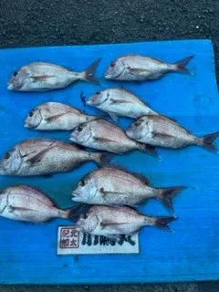 小嶋丸の2022年10月19日(水)1枚目の写真