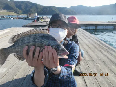 由良海つり公園&釣堀ランドの2022年10月31日(月)3枚目の写真