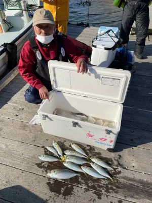 安乗釣センターの2022年11月16日(水)4枚目の写真