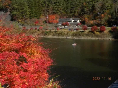 湖畔荘の2022年11月16日(水)1枚目の写真