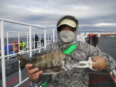 尼崎市立魚つり公園の2022年11月20日(日)3枚目の写真