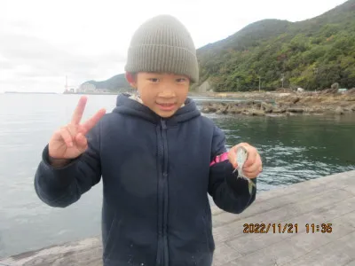 由良海つり公園&釣堀ランドの2022年11月21日(月)1枚目の写真
