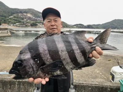 上野渡船の2022年11月22日(火)1枚目の写真