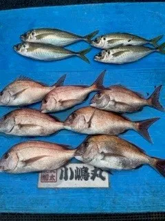 小嶋丸の2022年11月23日(水)1枚目の写真