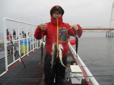 尼崎市立魚つり公園の2022年11月23日(水)1枚目の写真