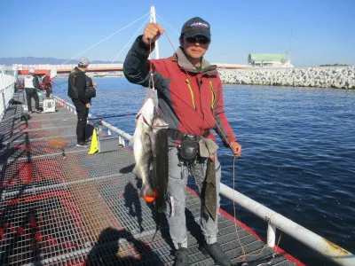 尼崎市立魚つり公園の2022年11月25日(金)1枚目の写真