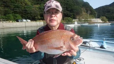 真珠・山本釣り筏の2022年11月7日(月)1枚目の写真