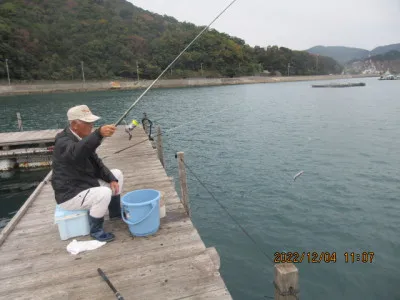 由良海つり公園&釣堀ランドの2022年12月4日(日)1枚目の写真
