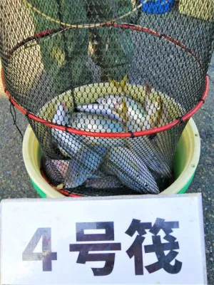 三重外湾漁協 錦事業所直営 釣り筏の2022年11月5日(土)1枚目の写真