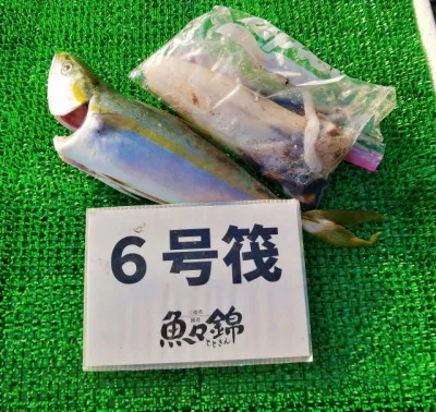 三重外湾漁協 錦事業所直営 釣り筏の2022年11月11日(金)1枚目の写真