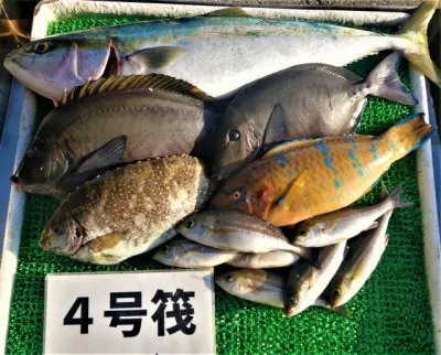 三重外湾漁協 錦事業所直営 釣り筏の2022年12月2日(金)1枚目の写真