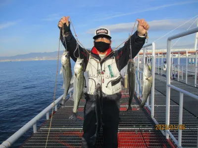 尼崎市立魚つり公園の2023年1月6日(金)2枚目の写真