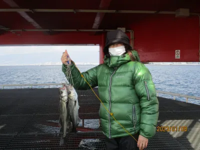 尼崎市立魚つり公園の2023年1月8日(日)2枚目の写真