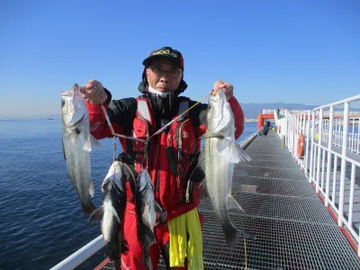 尼崎市立魚つり公園の2023年1月11日(水)1枚目の写真