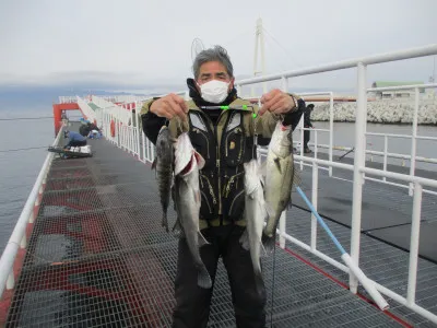 尼崎市立魚つり公園の2023年1月13日(金)1枚目の写真