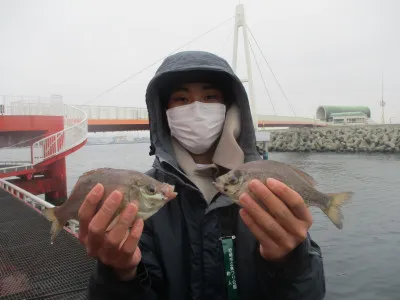 尼崎市立魚つり公園の2023年1月14日(土)1枚目の写真
