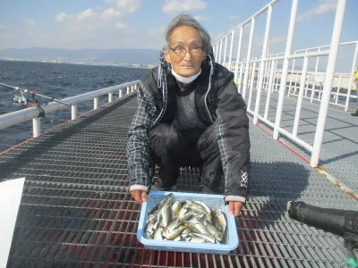 尼崎市立魚つり公園の2023年1月20日(金)1枚目の写真