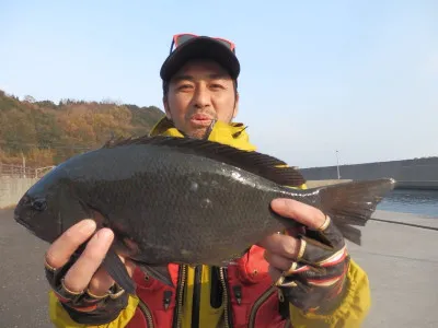 瀬渡し 磯の2023年1月7日(土)1枚目の写真