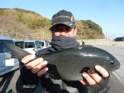 瀬渡し 磯の2023年1月8日(日)4枚目の写真