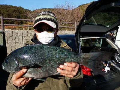 瀬渡し 磯の2023年1月8日(日)5枚目の写真