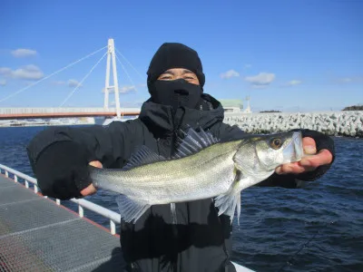 尼崎市立魚つり公園の2023年1月26日(木)1枚目の写真