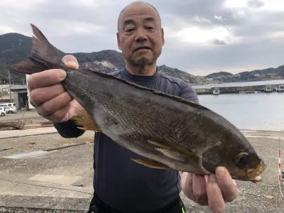 上野渡船の2023年2月4日(土)3枚目の写真