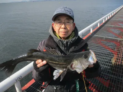 尼崎市立魚つり公園の2023年2月9日(木)1枚目の写真