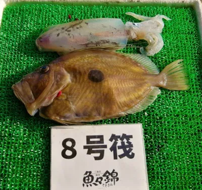 三重外湾漁協 錦事業所直営 釣り筏の2023年2月4日(土)4枚目の写真