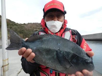 瀬渡し 磯の2023年1月26日(木)1枚目の写真