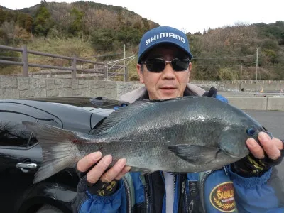 瀬渡し 磯の2023年2月11日(土)2枚目の写真