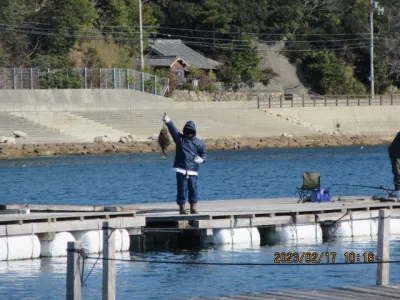 由良海つり公園&釣堀ランドの2023年2月17日(金)3枚目の写真
