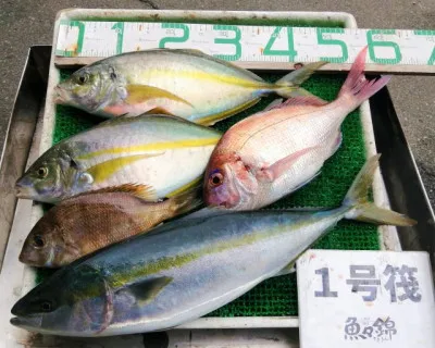 三重外湾漁協 錦事業所直営 釣り筏の2023年2月23日(木)1枚目の写真