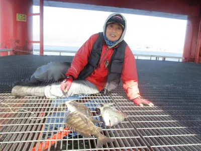 尼崎市立魚つり公園の2023年2月27日(月)1枚目の写真