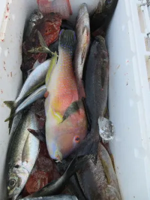 中山総合釣センター・海遊の2023年2月26日(日)2枚目の写真