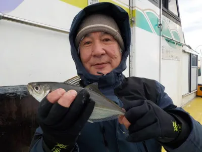 打木屋釣船店の2023年3月3日(金)3枚目の写真