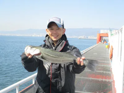 尼崎市立魚つり公園の2023年3月6日(月)1枚目の写真