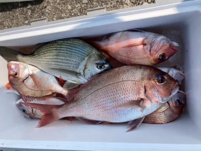 釣り船 黒潮丸の2023年3月8日(水)2枚目の写真