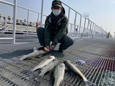 尼崎市立魚つり公園の2023年3月10日(金)2枚目の写真