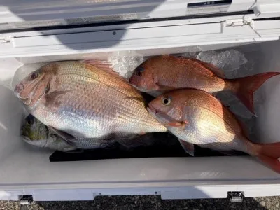 釣り船 黒潮丸の2023年3月11日(土)2枚目の写真