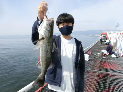 尼崎市立魚つり公園の2023年3月12日(日)2枚目の写真