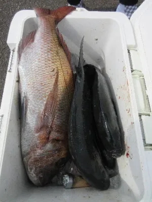 中山総合釣センター・海遊の2023年3月12日(日)2枚目の写真