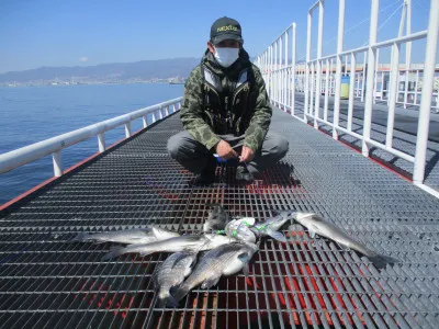 尼崎市立魚つり公園の2023年3月15日(水)1枚目の写真