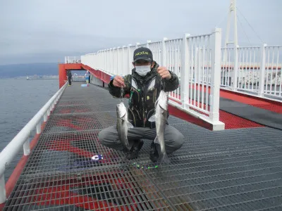 尼崎市立魚つり公園の2023年3月17日(金)1枚目の写真