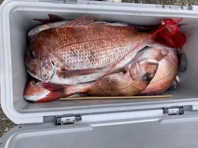 釣り船 黒潮丸の2023年3月21日(火)1枚目の写真