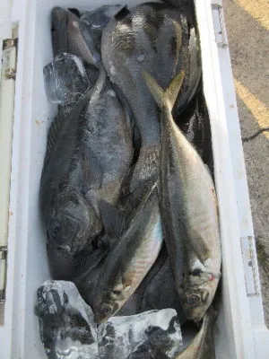 中山総合釣センター・海遊の2023年3月19日(日)2枚目の写真