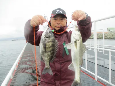 尼崎市立魚つり公園の2023年3月26日(日)2枚目の写真